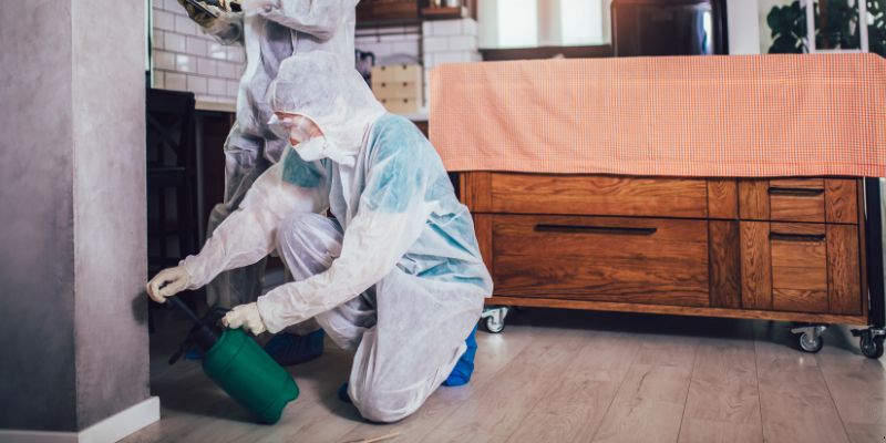 Dedetização em Apartamento Como Funciona em Londrina: Confira 4 Passos Dedetização em apartamento como funciona em Londrina
